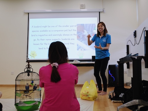Championing Mental Health for Whole-Person Care